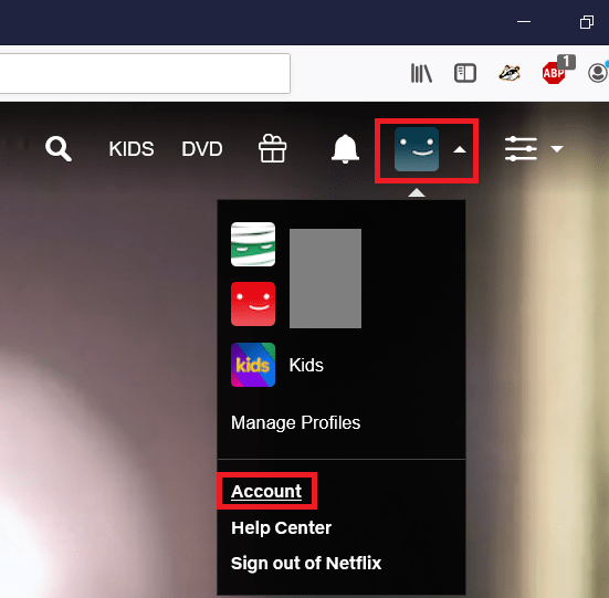 Netflix profila izvēlne