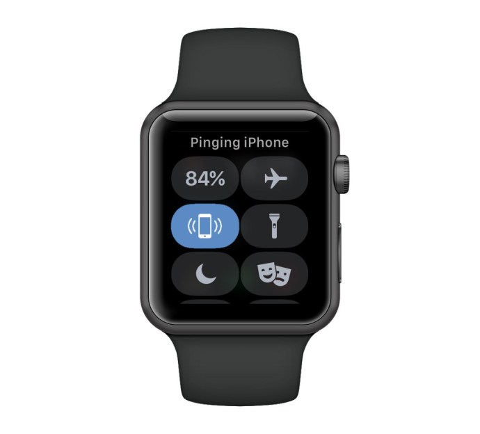 פינג אייפון apple watch