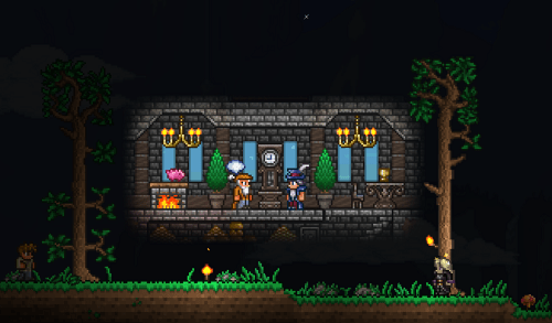 Terraria মধ্যে কত NPCs