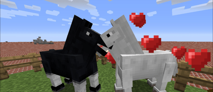 Sådan opdrættes heste i Minecraft