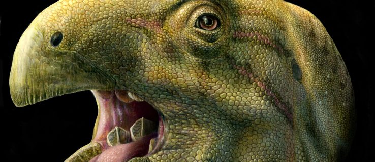 Denna "fula" dinosaurie hade jättelika saxliknande tänder