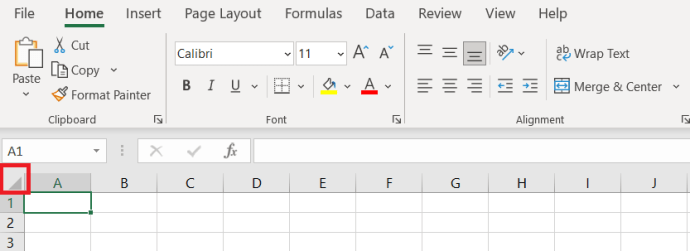 Botó Excel Selecciona tot