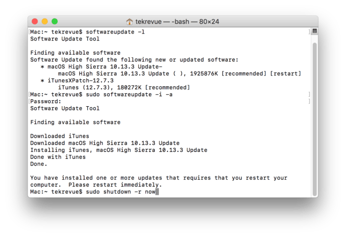 terminal de actualización de software mac